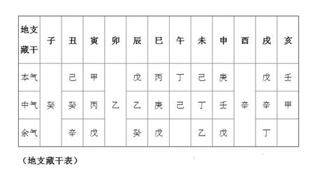 申 五行|十二地支藏干 十二地支五行属性对照表